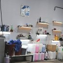 백마카서비스 | 일산렌트카 2026년, 인생 드라이브를 완성시킨 프리미엄 이동 수단 발견기