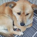 산막공단남14길 이미지