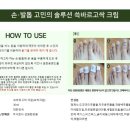 세종디앤티
