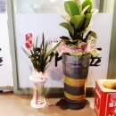 자산동247 | [폐업]마산 맛집 자산동 국가대표 109 중앙점 후기!