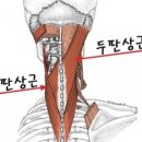 팀아지트 이미지