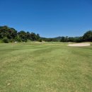 위너골프 이미지