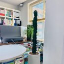 인혜영 행정사사무소 이미지