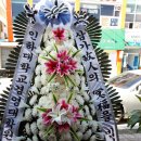 임실꽃화원 이미지