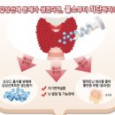 엔유네이처