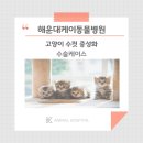 해운대 케이 동물병원 이미지