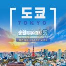 우리국제여행사 이미지