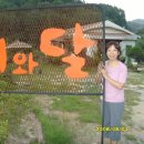 해와달 찻집 Daum카페