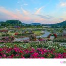 임실치즈테마파크