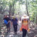 송강초등학교 이미지