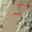 화성에서 생명체 흔적 발견…NASA “미생물 연관된 암석 찾았다.” 이미지