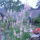 송정하우스 이미지