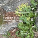 뽀리뱅이 야생화를 찾아서(119) 대전아파트공원 이미지