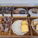 달코마이 이미지