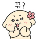 씨유펫송내점 이미지