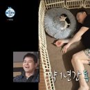 오늘 나혼산에 또 나온 이창섭 반려견 '구리' 작고 소중했던 아기 시절 이미지