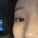 담아놓다 이미지