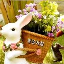 ♤규범과 원칙이 없는 사회 (Anomi 사회)♧ 이미지