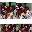 신화태권도장 이미지