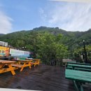 울릉도 올레펜션 이미지