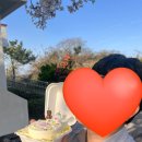 잇츠오케이크 | 제주에서 레터링 케이크로 생일 챙기기🍰잇츠오케이크