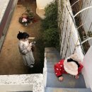유정한옥게스트하우스 | 목포 유정한옥게스트하우스 늦은 후기