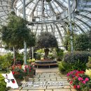 솔향수목원(전시온실) | 강릉 숨은 여행지 강릉솔향수목원 강원도 겨울 여행