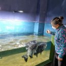 거창-남상-4 이미지