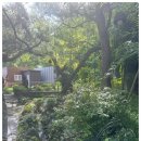 본가제주밥상 | 한정식 상차림이 제주급인 팔당 근처 남양주맛집 본가제주밥상 후기!