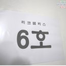 리코팰리스 이미지