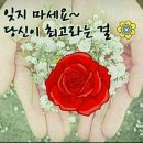 금오중학교 이미지