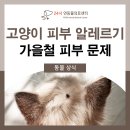 24시연동물의료센터 이미지