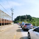 욕지도 할매바리스타 이미지