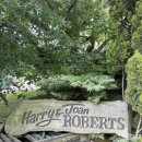 D family | 【뉴질랜드 워홀】 Roberts Family Fruit 체리 픽킹 시즌잡 출근 2주차 - 팩하우스 내부공개 D+306