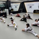 경희대 활기찬 태권도장 이미지