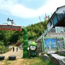 맹종죽테마파크1 이미지