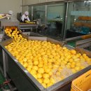 옥종산지유통센터 이미지