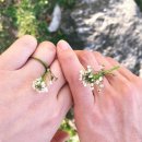 영진아파트 앞 2 이미지