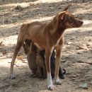 명은여행사 이미지