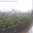 하천리-7 이미지