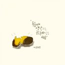 캘리그라피 활용 네이버블로그