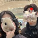 드림프라자(민간개방화장실) | [괌여행] 4박6일 괌 : 1일차 💖리티디안 / 도스버거 / 리가로얄 라구나