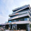 백조농장(2) 이미지