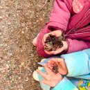 대박PC게임 | 담양 독채펜션 관방제림 근처 예쁜 숙소 슈트라하우스