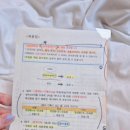 환덕 | 7일 만에 4kg 감량한 여름맞이 다이어트한약 추천