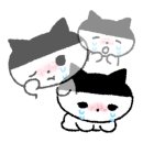 리베라비즈