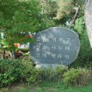 대전보운초등학교 이미지