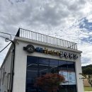 대구 근교 글램핑 여름 맞이 데이트 경북 칠곡 글램핑장 여행 후기 | 왜관 하이스트 글램핑
