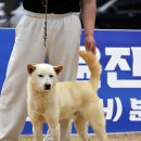 양평 무쏘 이미지