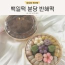성남 분당 판교 반해떡 백일떡 셀프 백일상 답례떡 후기